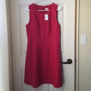 Brand New J. Crew Dress